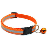 Small Dog/Cat Reflective Collar