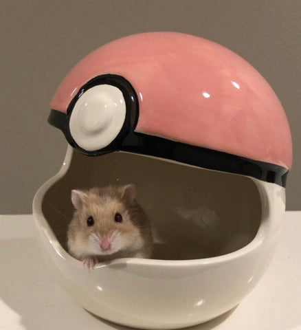 Pokeball Hamster Hideout