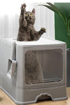 Cat Litter Box