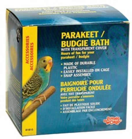 Parakeet Bath