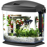 Betta Tank