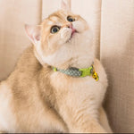 Small Dog/Cat Collar