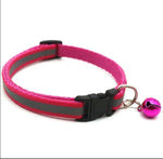 Small Dog/Cat Reflective Collar