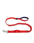 Champion dog leash