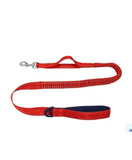 Champion dog leash