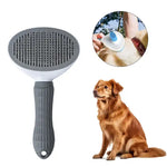 Pet Brush