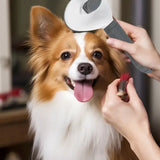 Pet Brush