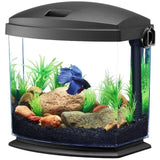 Betta Tank