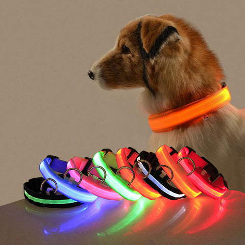 Nylon LED Collar