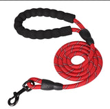 Rope Leash