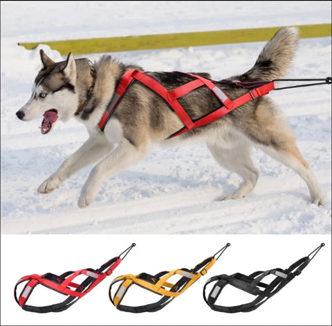 Nylon Dog Pulling Harness