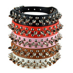 Anti Bite Spiked Collars 2.5cm