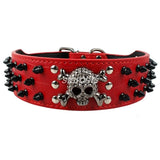 Anti Bite 2" Skull Spiked Collar