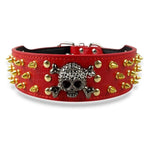 Anti Bite 2" Skull Spiked Collar