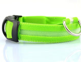 Nylon LED Collar