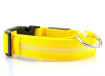 Nylon LED Collar