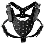 Spiked Harness