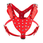 Spiked Harness