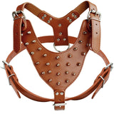 Spiked Harness