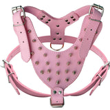 Spiked Harness