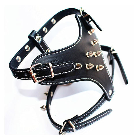 Small Spiked Harness