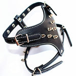 Small Spiked Harness