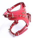 Small Spiked Harness