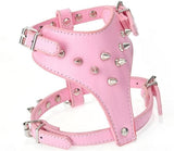 Small Spiked Harness